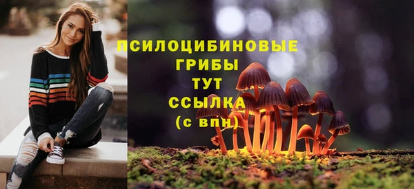 метадон Вяземский