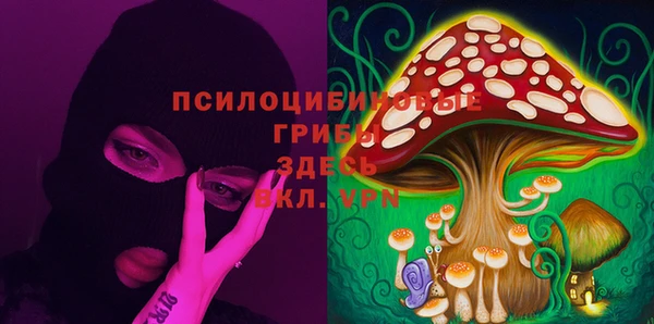 прущие крисы Вязники